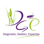 logo_DGe